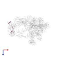 Mediator of RNA polymerase II transcription subunit 19 in PDB entry 7ui9, assembly 1, top view.