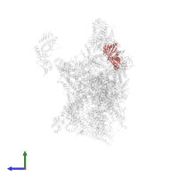 Mediator of RNA polymerase II transcription subunit 20 in PDB entry 7ui9, assembly 1, side view.