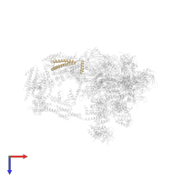 Mediator of RNA polymerase II transcription subunit 22 in PDB entry 7ui9, assembly 1, top view.