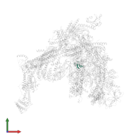 Transcription initiation factor IIB in PDB entry 7ui9, assembly 1, front view.