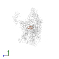 Mediator of RNA polymerase II transcription subunit 31 in PDB entry 7ui9, assembly 1, side view.