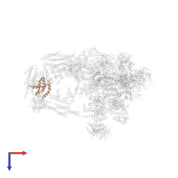 Mediator of RNA polymerase II transcription subunit 31 in PDB entry 7ui9, assembly 1, top view.