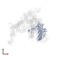 DNA-directed RNA polymerase II subunit RPB2 in PDB entry 7ui9, assembly 1, front view.