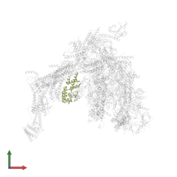 DNA-directed RNA polymerase II subunit RPB4 in PDB entry 7ui9, assembly 1, front view.