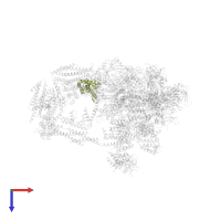 DNA-directed RNA polymerase II subunit RPB4 in PDB entry 7ui9, assembly 1, top view.