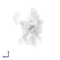 DNA-directed RNA polymerases I, II, and III subunit RPABC2 in PDB entry 7ui9, assembly 1, side view.