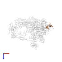 Transcription initiation factor IIF subunit alpha in PDB entry 7ui9, assembly 1, top view.