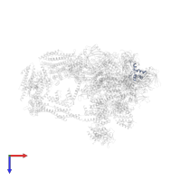 DNA-directed RNA polymerases I, II, and III subunit RPABC5 in PDB entry 7ui9, assembly 1, top view.