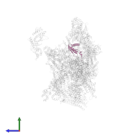 DNA-directed RNA polymerase II subunit RPB11 in PDB entry 7ui9, assembly 1, side view.