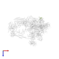 DNA-directed RNA polymerases I, II, and III subunit RPABC4 in PDB entry 7ui9, assembly 1, top view.