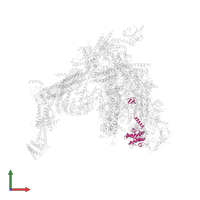 Transcription elongation factor S-II in PDB entry 7ui9, assembly 1, front view.