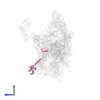 Transcription elongation factor S-II in PDB entry 7ui9, assembly 1, side view.