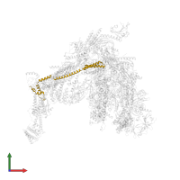 Mediator of RNA polymerase II transcription subunit 4 in PDB entry 7ui9, assembly 1, front view.