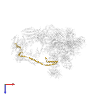 Mediator of RNA polymerase II transcription subunit 4 in PDB entry 7ui9, assembly 1, top view.