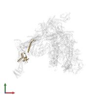 Mediator of RNA polymerase II transcription subunit 6 in PDB entry 7ui9, assembly 1, front view.