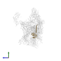 Mediator of RNA polymerase II transcription subunit 6 in PDB entry 7ui9, assembly 1, side view.