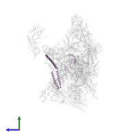 Mediator of RNA polymerase II transcription subunit 7 in PDB entry 7ui9, assembly 1, side view.