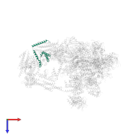 Mediator of RNA polymerase II transcription subunit 8 in PDB entry 7ui9, assembly 1, top view.