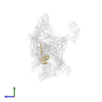 Mediator of RNA polymerase II transcription subunit 6 in PDB entry 7uif, assembly 1, side view.