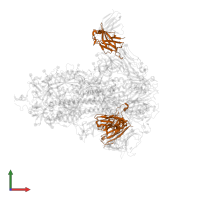 12-19 Fab Heavy Chain in PDB entry 7ukm, assembly 1, front view.