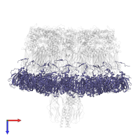 Outer capsid glycoprotein VP7 in PDB entry 7umt, assembly 1, top view.