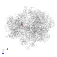 Small ribosomal subunit protein uS17 in PDB entry 7unr, assembly 1, top view.