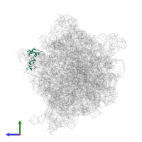 Large ribosomal subunit protein uL11 in PDB entry 7unr, assembly 1, side view.