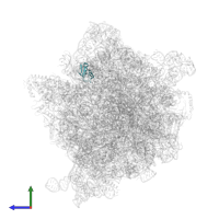 Large ribosomal subunit protein uL30 in PDB entry 7unr, assembly 1, side view.