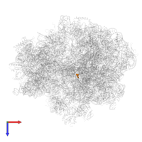 Modified residue OMU in PDB entry 7unr, assembly 1, top view.