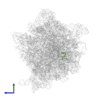 Large ribosomal subunit protein bL34 in PDB entry 7unu, assembly 1, side view.