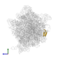 Small ribosomal subunit protein bS6 in PDB entry 7unu, assembly 1, side view.