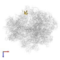 Small ribosomal subunit protein bS6 in PDB entry 7unu, assembly 1, top view.