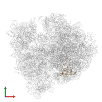 Large ribosomal subunit protein uL3 in PDB entry 7unv, assembly 1, front view.