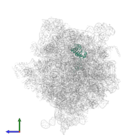 Large ribosomal subunit protein uL4 in PDB entry 7unv, assembly 1, side view.