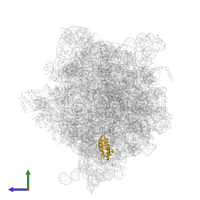 Large ribosomal subunit protein bL17 in PDB entry 7unv, assembly 1, side view.