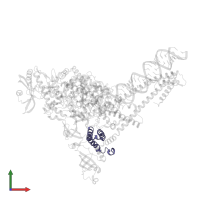 Non-structural protein 7 in PDB entry 7uo9, assembly 1, front view.