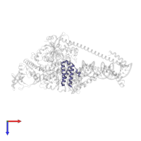 Non-structural protein 7 in PDB entry 7uo9, assembly 1, top view.