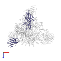 37.2D light chain (variable domain) in PDB entry 7uot, assembly 1, top view.