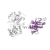 The deposited structure of PDB entry 7uqx contains 1 copy of Pfam domain PF09258 (Glycosyl transferase family 64 domain) in Exostosin-2. Showing 1 copy in chain B.