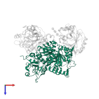 Exostosin-1 in PDB entry 7uqx, assembly 1, top view.