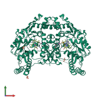 Homo dimeric assembly 1 of PDB entry 7us7 coloured by chemically distinct molecules, front view.