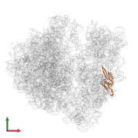 Small ribosomal subunit protein uS5 in PDB entry 7uvw, assembly 1, front view.