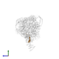 V-type proton ATPase subunit e1 in PDB entry 7uwa, assembly 1, side view.