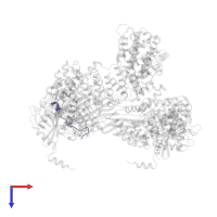 HLA class I histocompatibility antigen, A alpha chain in PDB entry 7ux3, assembly 1, top view.
