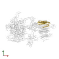 V-ATPase proteolipid subunit C-like domain-containing protein in PDB entry 7uzf, assembly 1, front view.