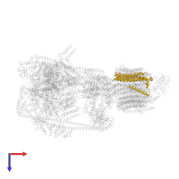 V-ATPase proteolipid subunit C-like domain-containing protein in PDB entry 7uzf, assembly 1, top view.