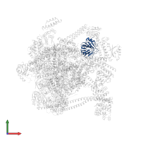 Nuclear receptor coactivator 7B in PDB entry 7uzj, assembly 1, front view.
