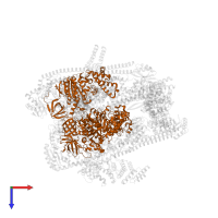 V-type proton ATPase subunit B, brain isoform in PDB entry 7uzj, assembly 1, top view.