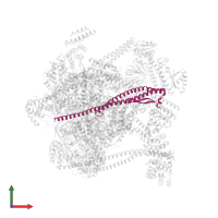 V-type proton ATPase subunit D in PDB entry 7uzj, assembly 1, front view.