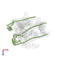 V-type proton ATPase subunit E 1 in PDB entry 7uzj, assembly 1, top view.